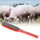 Schweinepeitsche nicht deformiert praktischer Schweinebestand Prod Rinder für
