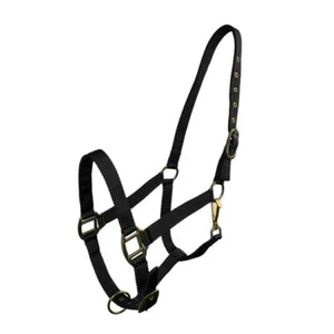 HALTER Premium Quality Nylon BRASS Hardware & Clip Adjustable HORSE or COB Size - Picture 1 of 10