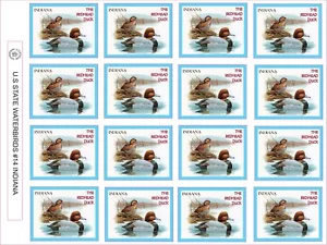 INDIANA STATE WASSERVOGEL - DIE ROTHAARIGE ENTE - 12 PRO BLATT - Bild 1 von 1