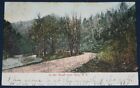 In the Gulph, near Ilion, NY Postcard 1907 #2