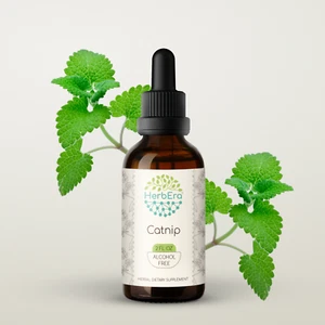 HerbEra Catnip Alcohol-FREE Herbal Extract Tincture, Organic (Nepeta Cataria) - Picture 1 of 23