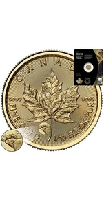 2025 Canada Gold Maple Leaf 1/10 oz .9999 – Charles III – Polar Bear Privy - Picture 1 of 4