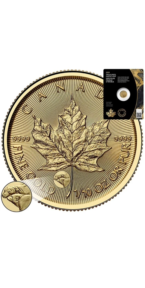 2025 Canada Gold Maple Leaf 1/10 oz .9999 – Charles III – Polar Bear Privy - Image 1 of 4