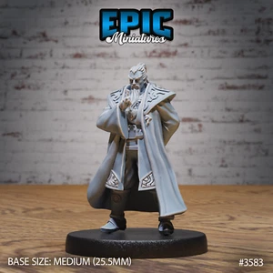 Blade Master A by Epic Miniatures RPG D&D Pathfinder 3D Print - Picture 1 of 2