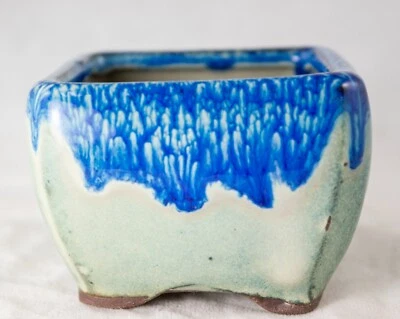 Vaso de bonsai quadrado Mame Shohin, cacto e plantador suculento com malha 3"x 3"x 2" - Imagem 1 de 4