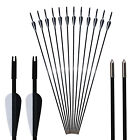 12/24 Pack Fiberglass Arrows With Fixed Tips Archery Practice Train 31-inch