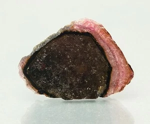 Shola Genuine 26.5 Ct Natural Watermelon Tourmaline from Brazil - Picture 1 of 1