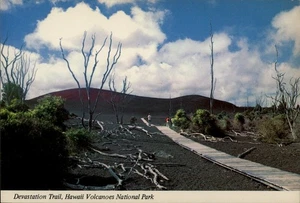 Kilauea,HI Devastation Trail Hawaii Volcanoes National Park Kauai County Hawaii - Picture 1 of 2