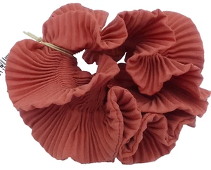 BNWT Dorothy Perkins Hair Scrunchies Women Ladies Girls Elastics - Rusty Brown - Picture 1 of 8