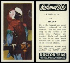 Macaw #17 National Pets 1961 Doctor Teas Card