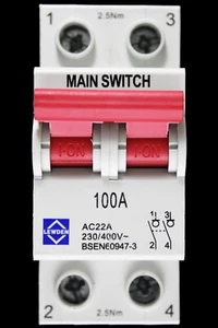 LEWDEN 100 AMP DOUBLE POLE MAIN SWITCH DISCONNECTOR GMS1002P - Picture 1 of 6