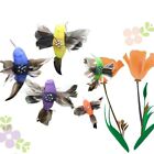 Electric Feather Bird Solar Animal Decoration Garden Decoration Hummingbird