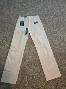 Nuevos Pantalones Dickies Sherwin Williams Blancos Calce Relajado Pintores Utilitarios Para Hombres 32x34 - Imagen 1 de 7