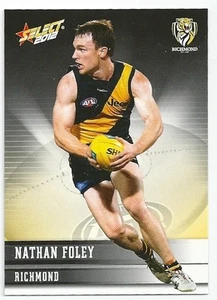 2012 Champions (168) Nathan FOLEY Richmond - Picture 1 of 1