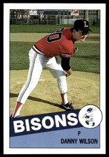 1986 David Lipscomb University Bisons Team Issue Danny Wilson #30