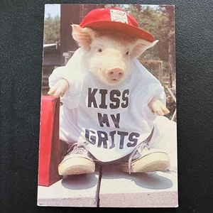 VTG 1981 Kiss my Grits Pig wearing tennis shoes George Dudley Postcard Unposted - Picture 1 of 2