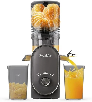 Fyenkfar Slow Juicer 300W Kaltpress Entsafter BPA-frei, Ganze Frucht, Grau