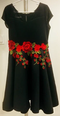 BONNIE JEAN Girl Party Dress 12 Shirt Sleeve Roses Applique Front Tie Back - Image 1 of 4