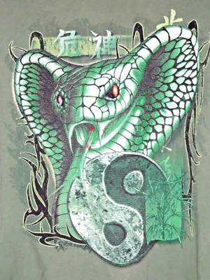 Camiseta De Colección Y2K No Boundaries XL Grunge Patinador Surfista JNCO Camiseta Cobra Foto 1 de 4