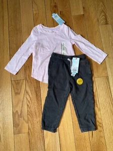 Toddler Kids Girls 2T Long Sleeve Shirt and Pull On Pants Bundle - Picture 1 of 6