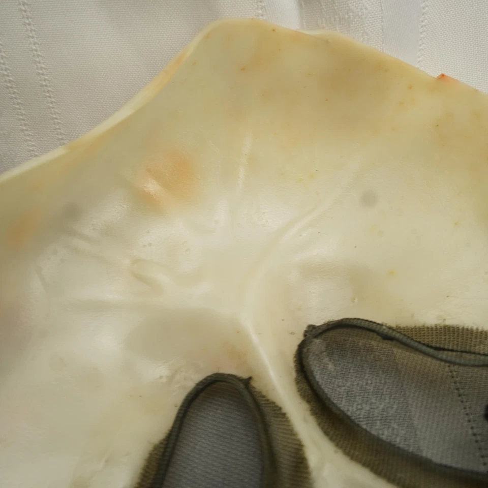 Fun World Ghostface Mask Adult One Size Scream Easter Unlimited Black Shroud - Image 1 of 4