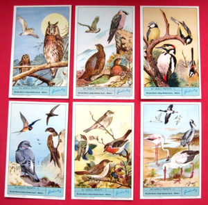LIEBIG - S1806   F1801 - PROTECTED BIRDS - SET OF 6 - 1964 - VG