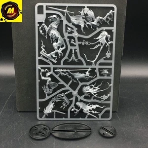 Ethereal Court (x3) (NOS) - #92789 - Nighthaunt - Bild 1 von 1