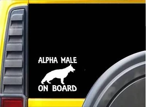 Alpha Male German Shepherd Dog K249 6 Inch sticker Schutzhund training decal - Picture 1 of 1