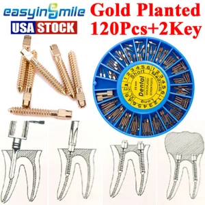 120Pc Dental Endodontic Conical Screw Post Kit Gold Planted Root Canal Pins 2Key - Picture 1 of 7