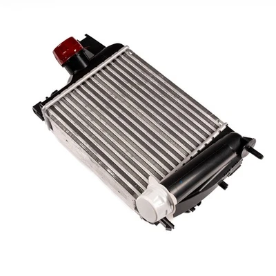 Genuine Renault Turbo Charge Air Cooler Intake Brazed Cooling Fins Clio MK4 - Image 1 of 4