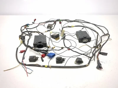 Kit eléctrico trasero control crucero reverso Honda GL1500 SE 88-00 Goldwing Foto 1 de 4