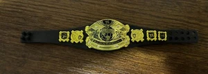 Mattel WWE Undisputed Championship Figure Title Belt UE Ruthless Aggression - Picture 1 of 1