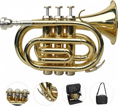 Steinbach Bb- Taschentrompete mit Edelstahlventilen - Bestangebot! - Bild 1 von 4