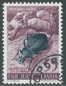 1954 TRIESTE B USATO ANIMALI 35 D MAGGIOLINO - RA24-9 - Picture 1 of 1