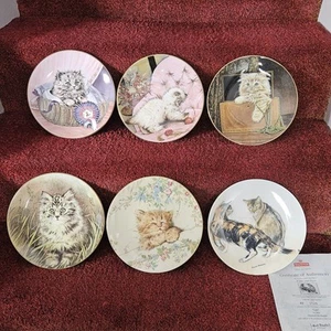 Royal Worcester Collectors Plate Wild Flower/CAT NAP Kitten Classics +4 -WB10 - Picture 1 of 15