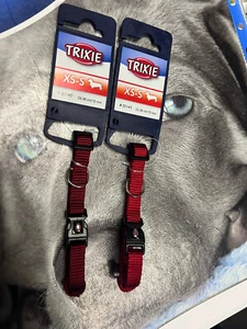 Collar de perro cachorro pequeño liso rojo o rojo burdeos 22-35 cm/10 mm de grosor - Imagen 1 de 7