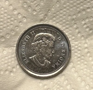 2011 Canada Quarters Bison Plain - Picture 1 of 2