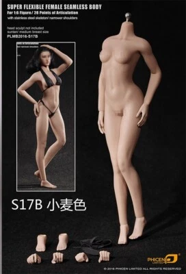 1/6 TBLeague Phicen Female Seamless MID Narrower Shoulders Bust Body Suntan S17B - Image 1 of 3