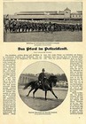New York Das Pferd im Polizeidienst berittene Schutzmannschaft Rettungspf...1901
