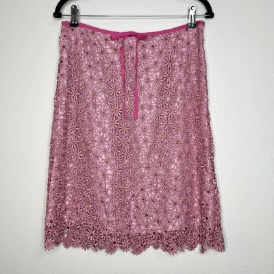 Falda Coqueta Tocca Rosa Bordada Crochet Encaje Margarita Floral Hasta la Rodilla Talla 8 Foto 1 de 4