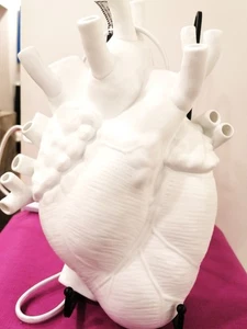 SELETTI, Heart Lamp, applique in porcellana design Marcantonio - BLACK FRIDAY - Picture 1 of 7