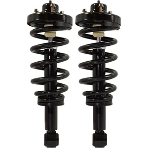 Pair Fully Loaded Strut Set of 2 Rear Driver & Passenger Side Left Right - Picture 1 of 10