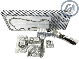KIT DISTRIBUZIONE CON CATENA RINFORZATA ORIGINALE FIAT PANDA / PUNTO OE 71777824 - Imagen 1 de 11