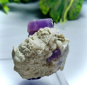 41-Gram Natural Purple Apatite with Tourmaline Combined Rare From Afghanistan - Picture 1 of 2