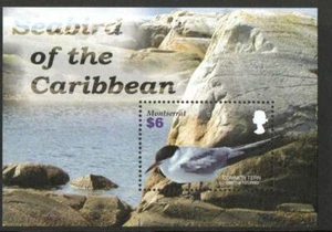 MONTSERRAT SGMS1278 SEABIRDS 2005 MNH - Bild 1 von 1
