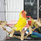 Bird Ladder, Wooden Bird Perches, Flexible Shelf, Parrot Hamster Climbing