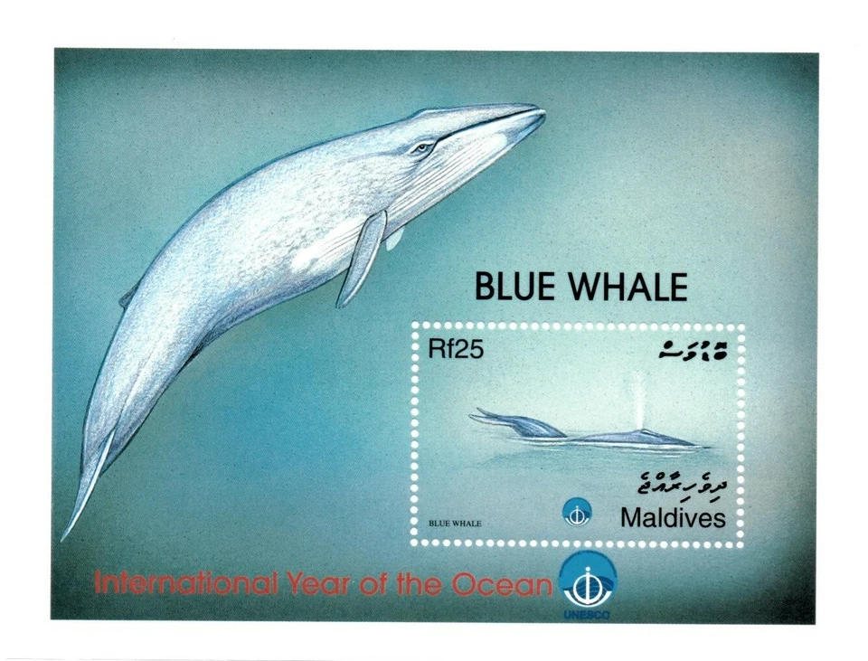 VINTAGE CLASSICS - Maldives 2349 - Blue Whale Year of the Ocean - S/S - MNH - Image 1 of 1
