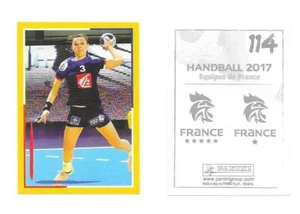 Vignette Panini N°114 - Handball 2017 - Lidl - Picture 1 of 1