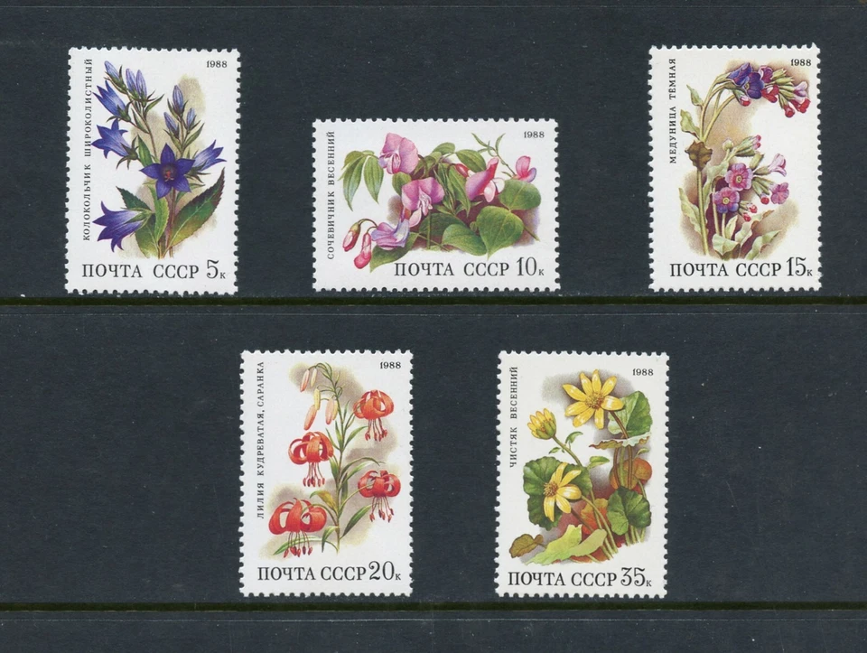 D341  Russia  1988  flora flowers  5v.       MNH - Image 1 of 1