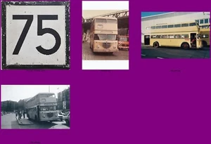 3 Fotos, BVG, Büssing D2U, Linie 73-73E, 1970 (+2004) - Bild 1 von 1